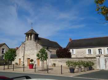 Tocht Stappen Ports-sur-Vienne - Ports-sur-Vienne - GR48 Pussigny Ponçay - 23.4km 410m 5h15 (50mn) - 2024 04 13 - Photo