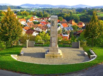 Excursión A pie Aach - Hegauer Kegelspiel: Aacher Geißbock - Photo