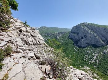 Percorso A piedi  - Starigrad - spoj s putom Ramići/Vidakov kuk - Photo