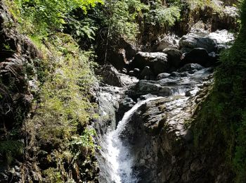 Tocht Stappen Les Houches - Les Gorges de la Diozaz  - Photo