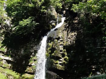 Tour Wandern Septmoncel les Molunes - Les gorges du Flumen - Photo