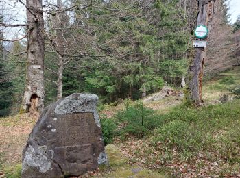 Tour Wandern Wisch - Col de l'Engin Rocher de Mutzig - Photo