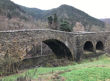 Randonnée Marche La Brigue - Pond du Coq - Photo