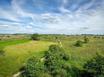 Tocht Te voet Spa - SPA 11 - Petite Boucle de Malchamps 🟨 - Photo