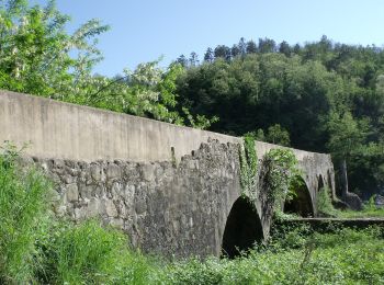 Randonnée A pied Brugnato - Brugnato - Serò - Pieve di Zignago - CaseCastellaro - Foce di Colle Fiorito (Innesto AVML) - Photo