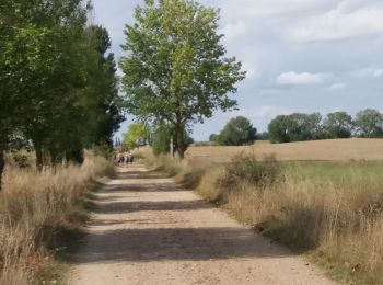 Tocht Stappen Castrojeriz - Boadiĺla del Camino - Photo