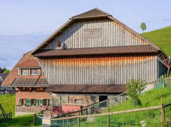 Randonnée A pied Hergiswil bei Willisau - St.Joder - Gmeinalp - Photo