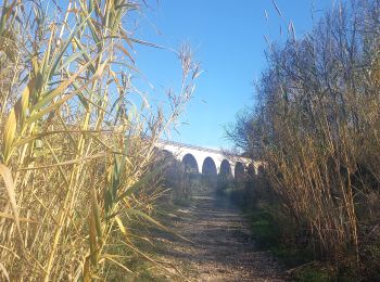 Randonnée Marche Sausset-les-Pins - Sausset-Les Tamaris 10.12.23 - Photo