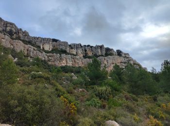 Excursión Senderismo Beaurecueil - Le tour du plateau du Cengle - Photo