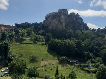 Tocht Stappen Gilette - Tour du Mont Lion - Photo