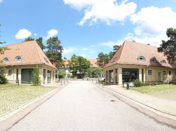 Randonnée A pied Inconnu - Dresdner Heide, Lehrpfad Kretschelgrund - Photo