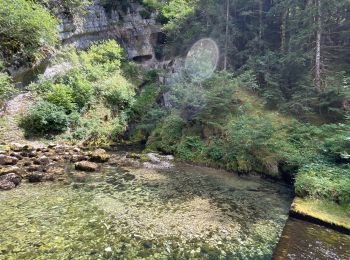 Tocht Mountainbike Foncine-le-Haut - Jura 2 - Photo