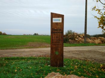 Randonnée Marche Villedômer - Étang de l'Archevêque - Crotelles la Grand' Vallée - 20.3km 215m 4h25 (35mn) - 2022 11 26 - Photo