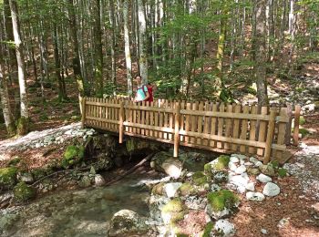 Excursión Senderismo Lélex - étape 21 : Lelex - Menthières par Valserine  - Photo