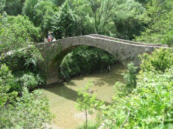 Percorso A piedi Saint-Maurice-Navacelles - 2021-05-25_Navacelles-La Foux - Photo