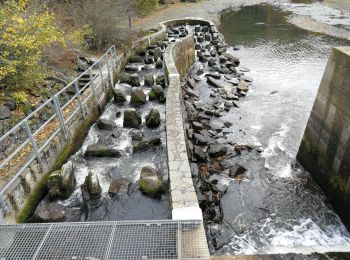 Tocht Stappen Boulaide - Boulaide - Photo