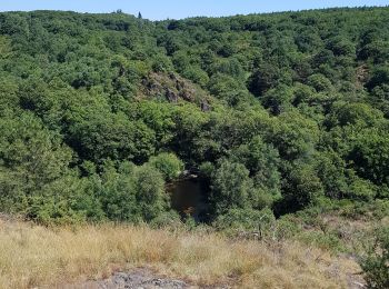 Trail Walking Tréhorenteuc - les landes de Gurwant et le Val sans retour - Photo