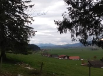 Trail Walking La Sagne - 09-11-19 sentier des statues - Photo