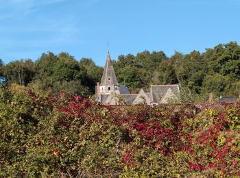 Trail Walking Saint-Martin-le-Beau - Saint-Martin-le-Beau - Zig zag Dierre - 22km 330m 4h45 (1h) - 2024 10 05 - Photo