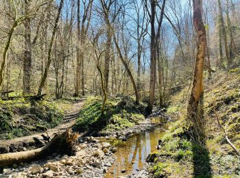 Trail Walking Huy - Vallée de la Solières : Chasse au trésor - Photo