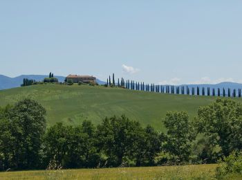 Randonnée A pied San Quirico d'Orcia - Cerrolungo - Photo