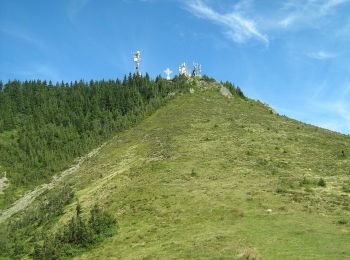 Percorso A piedi Călimănești - gara CFR Călimănești - Plaiul Sitarului - Cabana Cozia - Photo