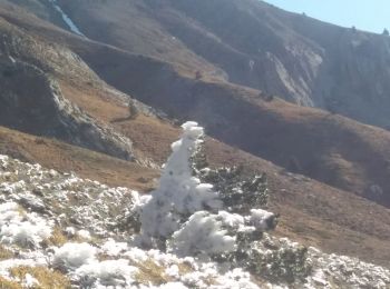 Percorso Marcia Glandage - grimone col de seysse - Photo