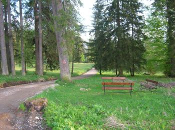 Percorso A piedi Borsec - oraș Borsec - Baia de Soare - oraș Borsec - Photo