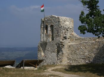 Tour Zu Fuß Rezi - Rezi Vár Tanösvény - Photo