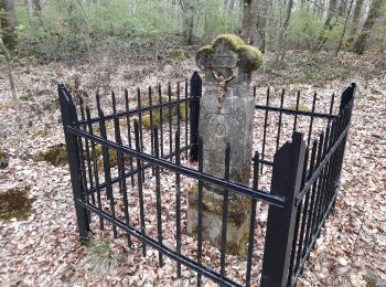 Randonnée A pied Vallée de l'Ernz - E9 - Ermsdorf - Photo