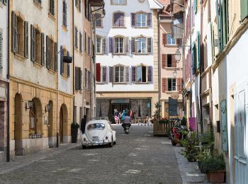 Percorso A piedi La Neuveville - La Neuveville - Lignières - Photo