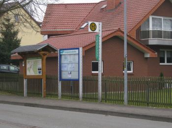 Tocht Te voet Hofgeismar - Hombressen, Rundweg 4 - Photo