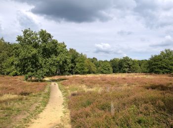 Trail On foot Nijlen - Vogelzangpad - Photo