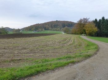 Randonnée A pied Lautertal - Rundwanderweg Lautertal Schannenbacher Eck 4: Panoramaweg - Photo