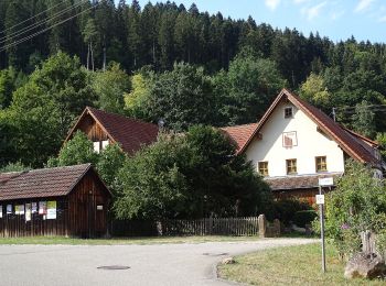 Tocht Te voet Neubulach - Gutleutbrücke - Seitzental - Photo