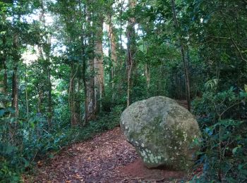 Excursión Senderismo Bouillante - Crête des Bois - Photo