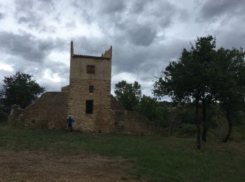 Tocht Lopen Murviel-lès-Béziers - Circuit des Pigeonniers - Murviel-les-Béziers - Photo