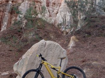 Excursión Bici de montaña Mormoiron - Reco circuit Trail Ocres et Limons (avec variante !!!) - Photo