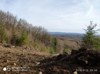Excursión Marcha nórdica Sainte-Feyre - Meyrat Perabout Parc à Loups 11.1k - Photo