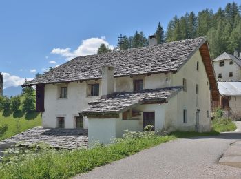 Tocht Te voet La Val - Wengen - La Valle - IT-6 - Photo