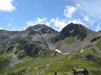 Trail On foot Tujetsch - Oberalppass - Lai da Tuma - Photo