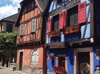 Tour Wandern Ammerschweier - Alsace4 - Photo