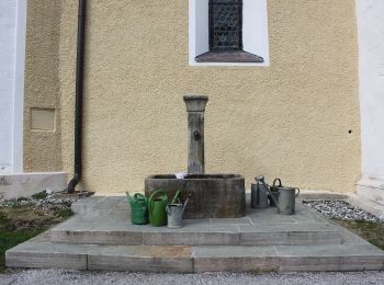 Randonnée A pied Schwarzach im Pongau - Verbindung Schwarzach/St. Veit/Goldegg - Photo