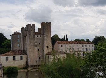 Tour Wandern Lavardac - cedp Estussan Barbaste  - Photo