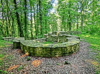 Tocht Te voet Bissendorf - Rund um die Holter Burg - Photo