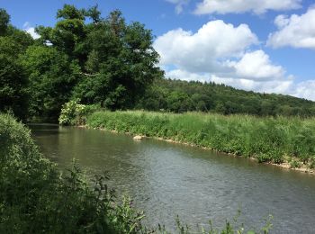 Randonnée Marche La Ferrière-sur-Risle - Ajou - Photo