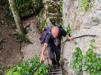 Percorso A piedi Mouthier-Haute-Pierre - 21-Sources de la Loue - Photo