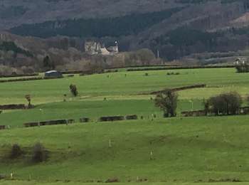 Tocht Stappen Pepinster - Banneux-Hodbomont-banneux 10Km - Photo
