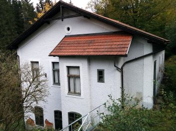 Excursión A pie Gemeinde Großgöttfritz - Hundertwasserweg 55a - Photo