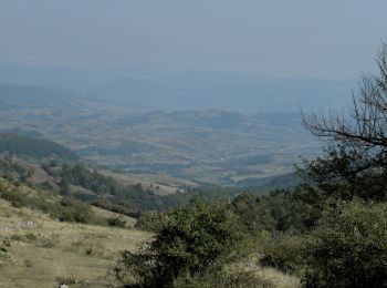 Excursión A pie Desconocido - Gârnic – Ravensca – Valea Izvorul Lung – Poiana Debeliliug – Bigăr – Poiana Ravna – Dubova (red stripe) - Photo